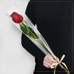 Single Flowers