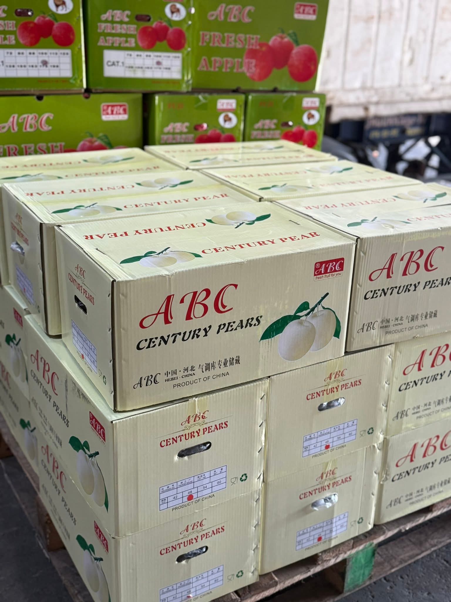 Century Pears (By the Box) _1