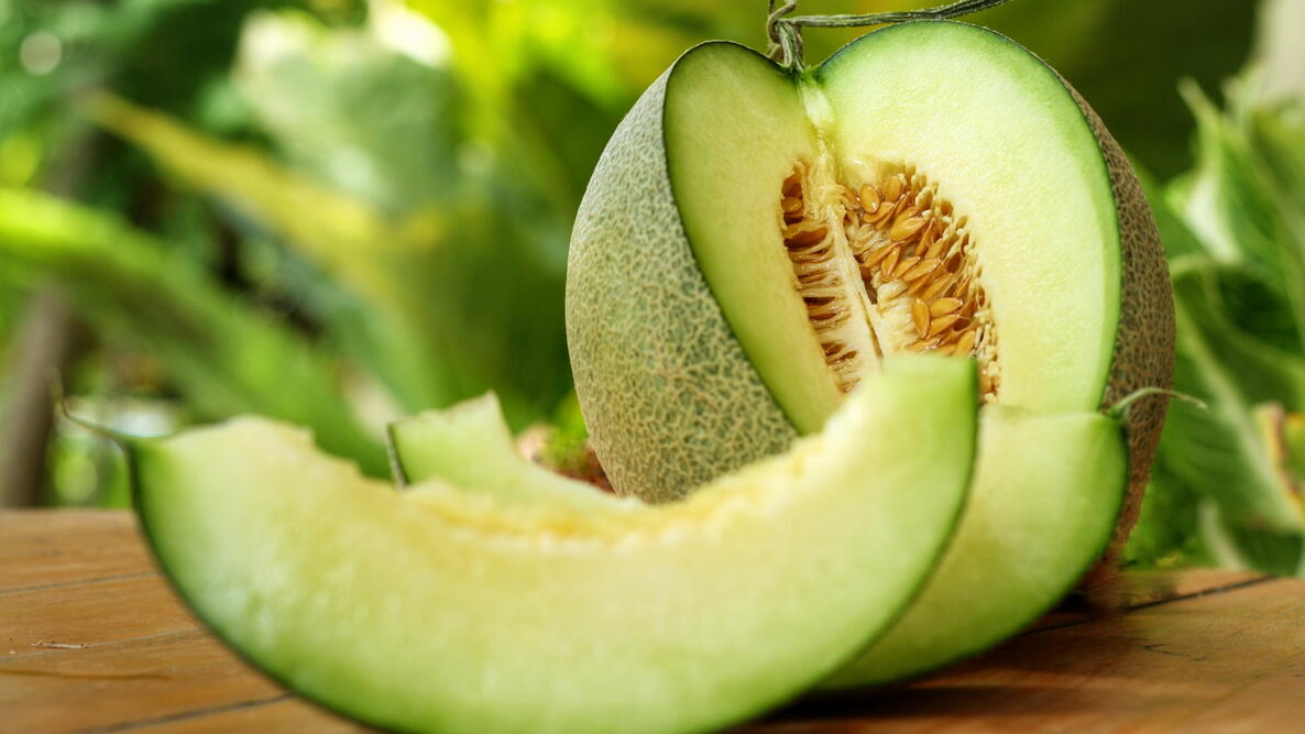 Honeydew _0