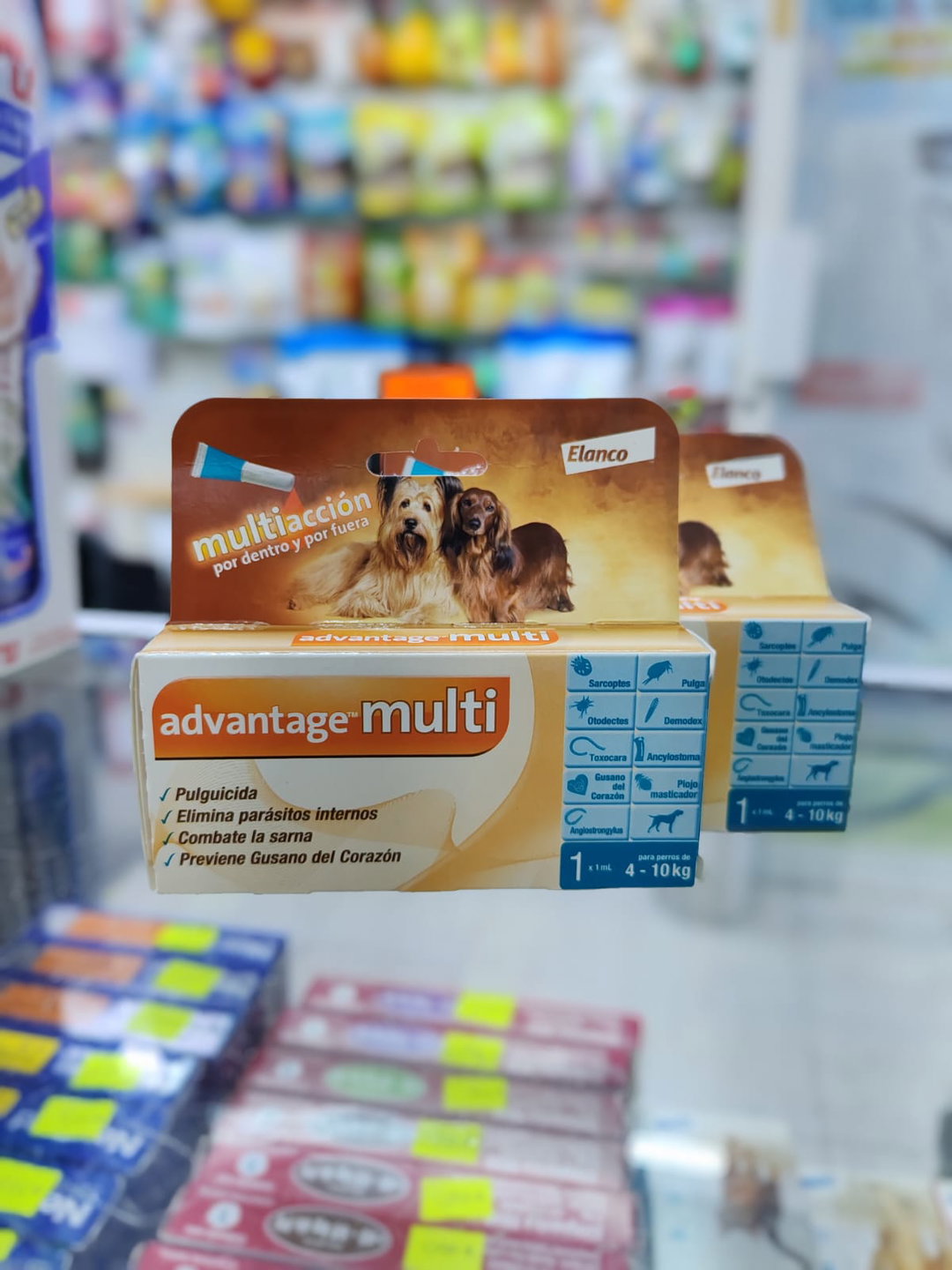 ADVANTAGE MULTI 1 X 1.0 ML DOG* (de 4 a 10 kg)