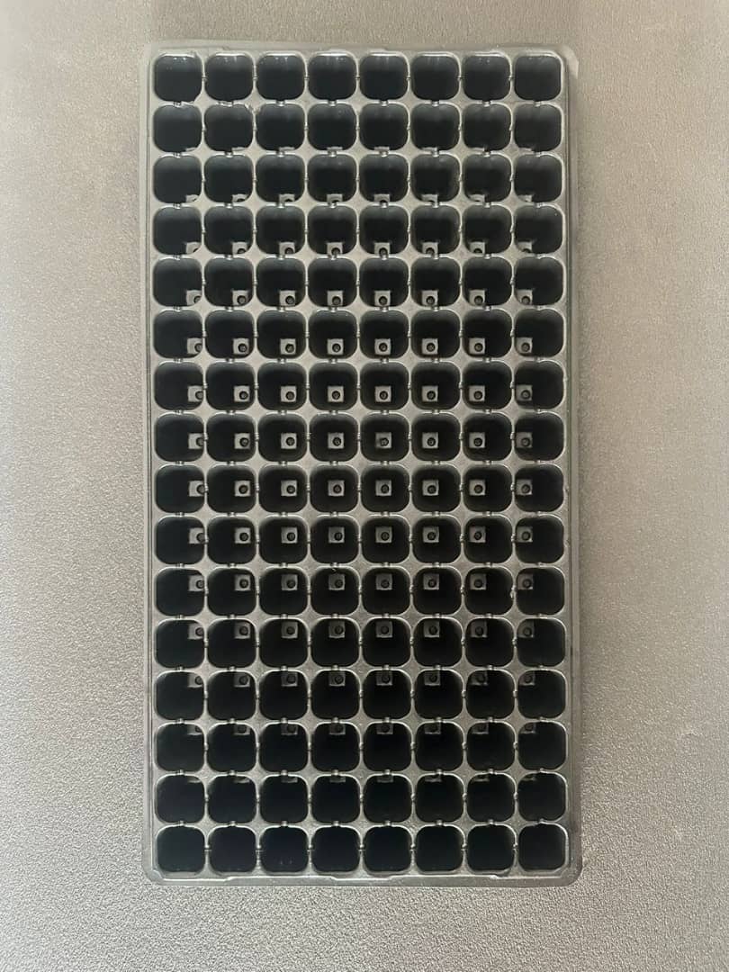 Alvéoles 128 trous_0