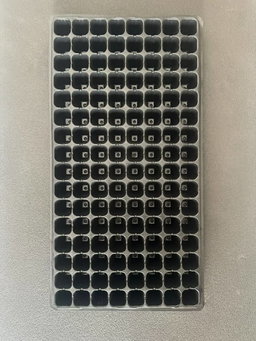 Alvéoles 128 trous
