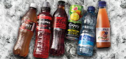 DRINKS 