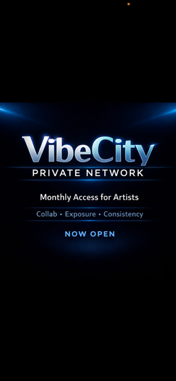 VibeCity Private Network Subscription 