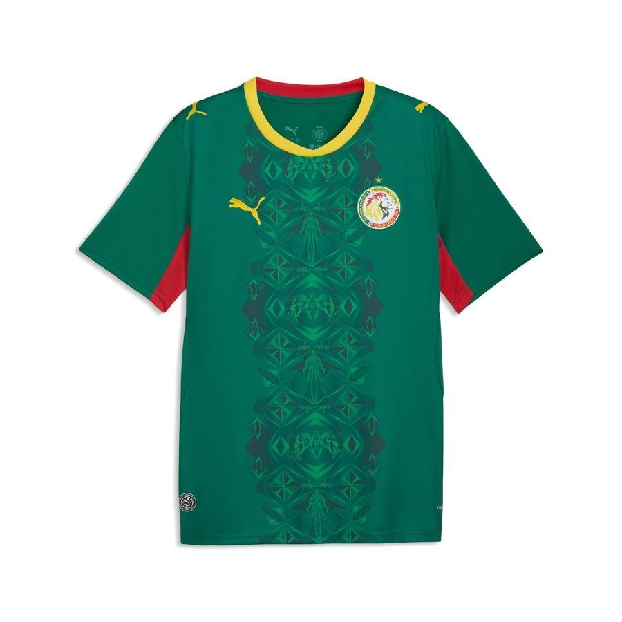 Senegal NT Puma ULTRAWEAVE Kit 26_3