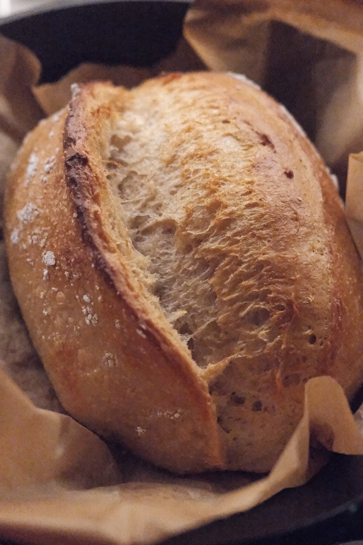 Sourdough Bread_1