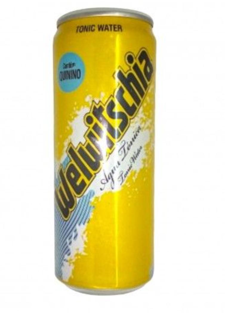 Água Tónica 330ml _0