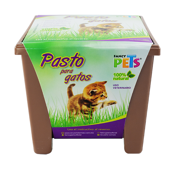 PASTO P/GATOS