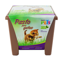PASTO P/GATOS