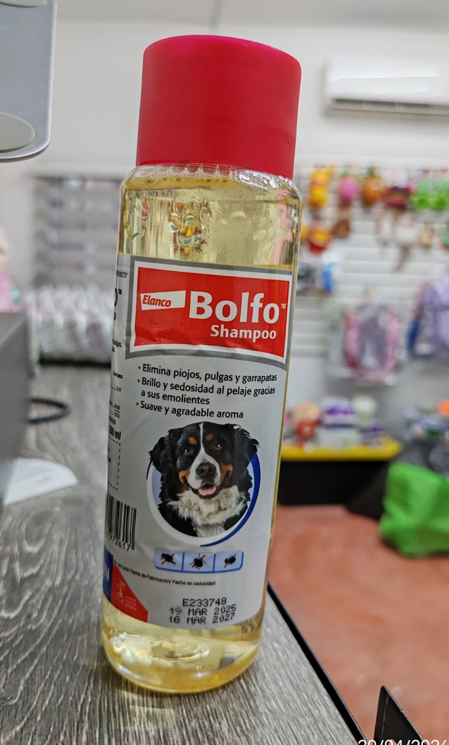 SHAMPOO BOLFO