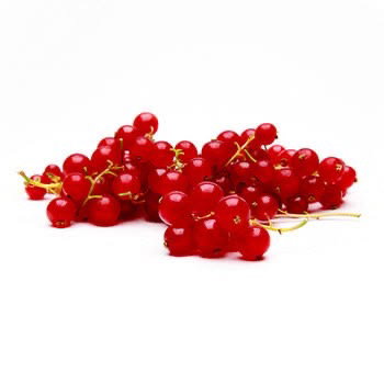 Red Currant_0