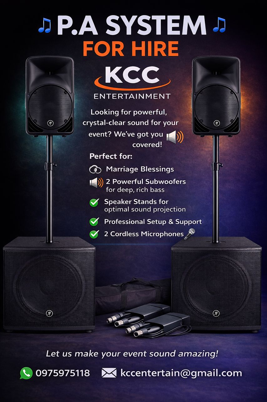 Premium P.a System from 150 - 250 guests_0