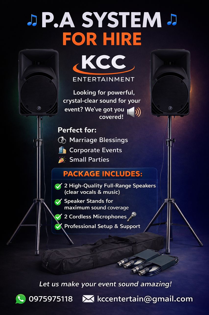 Premium P.a System for up to 100 guests_1