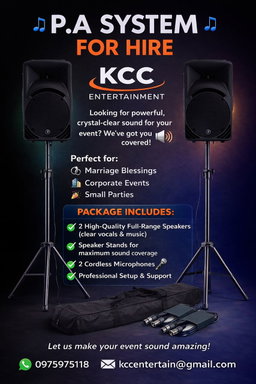 Premium P.a System for up to 100 guests