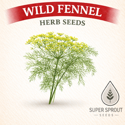 🌱WILD FENNEL/VINKEL🌱 x 25+ seeds
