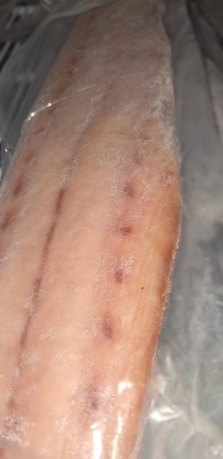 Mahi Mahi Fillet Per Pound