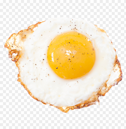 Fried Egg