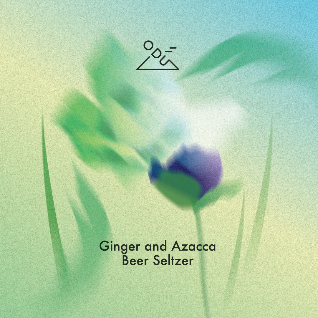 FRESH!!! 30l Keg | Ginger & Azacca Beer Seltzer