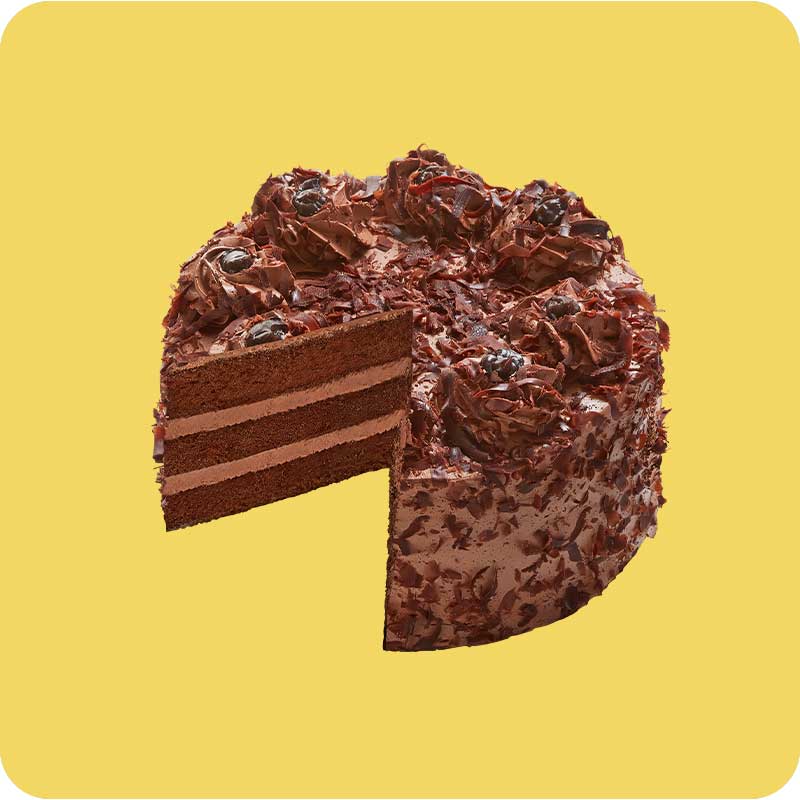 Chocolate High Cake