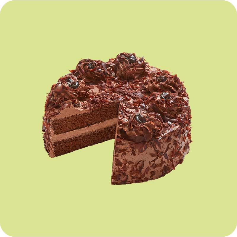 Chocolate Low Cake_0