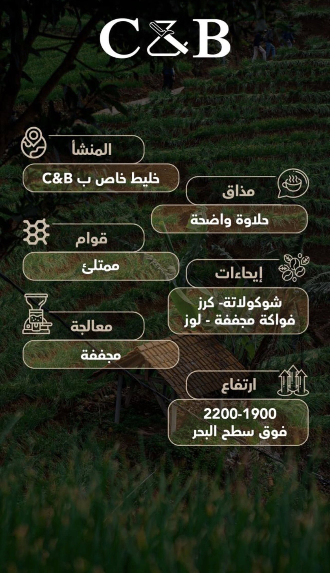 نيوم بلند اسبريسو_1
