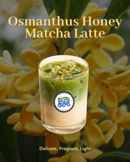 🌼 Osmanthus Honey Matcha Latte