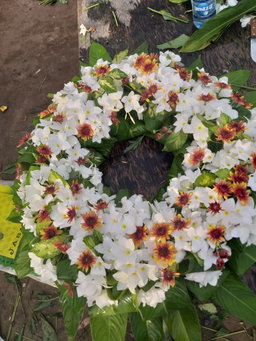 Gerbes de fleurs Naturelles