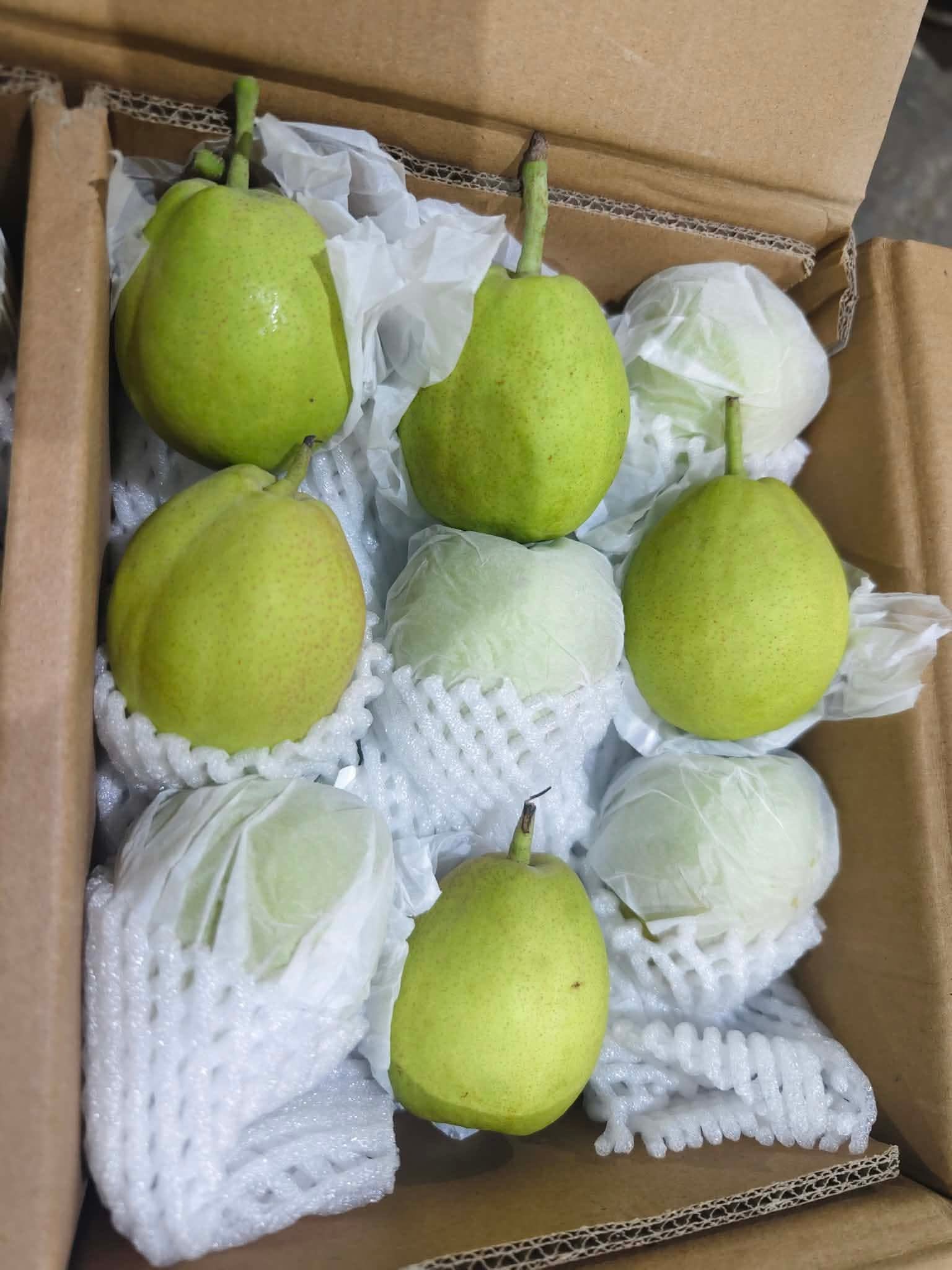 Fragrant Pear (By the Box) _1