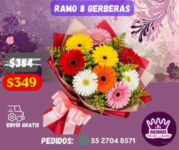 Ramo 8 Gerberas