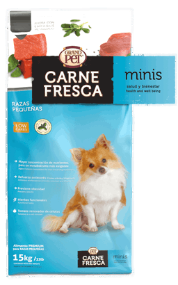 Carne Fresca Minis Adulto 4kg