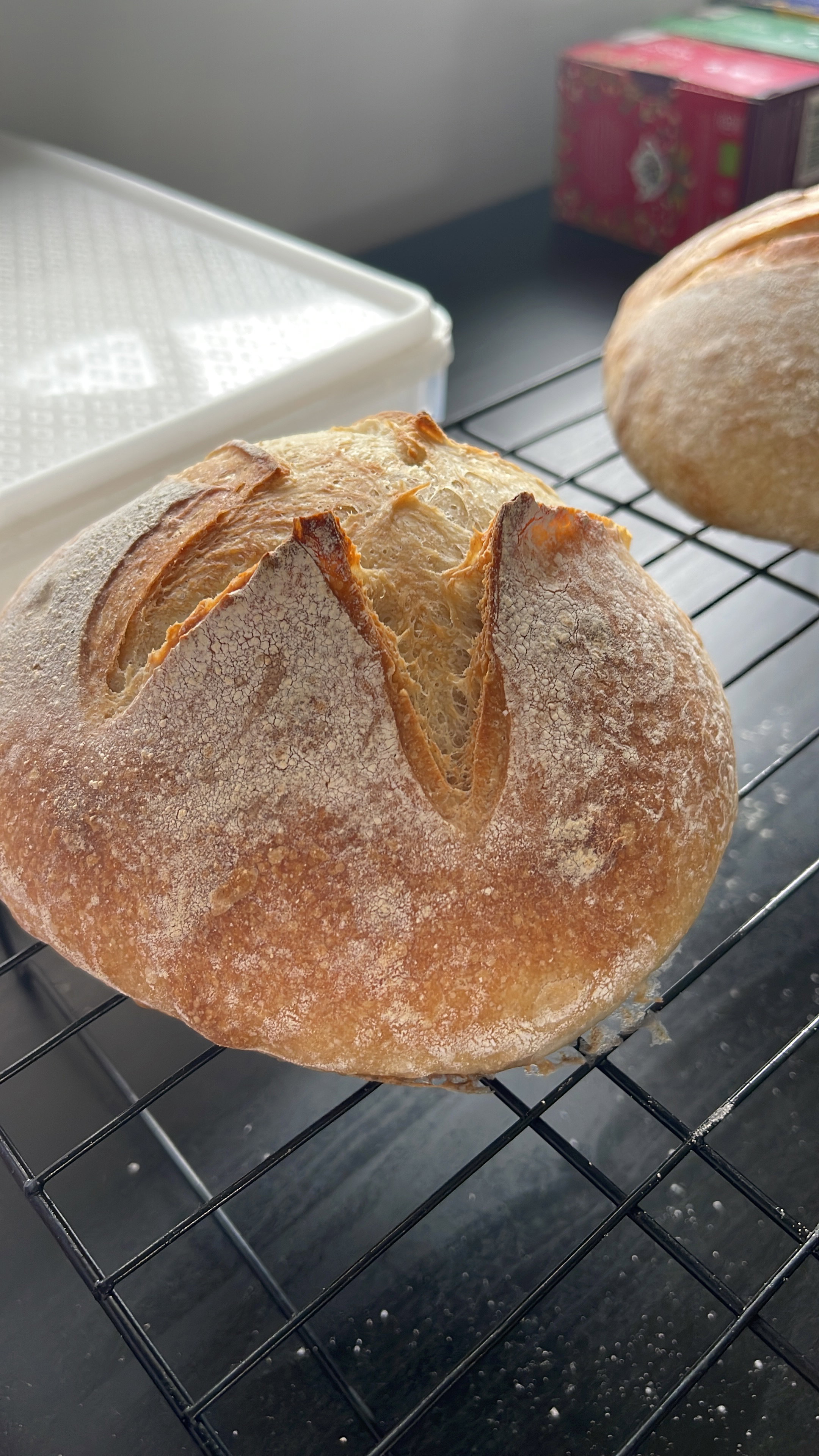 French Onion Sourdough Bread Bowl_1