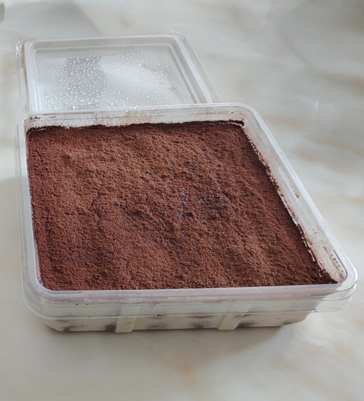 Classic Tiramisu 20x20cm (8-10 pax)_0
