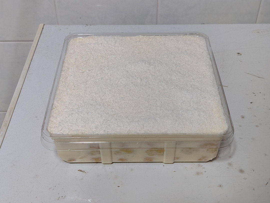 Durian Tiramisu 20x20x6cm (8-10 pax)