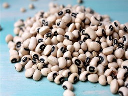 [Exp] Black Eyed Peas - لوبيا