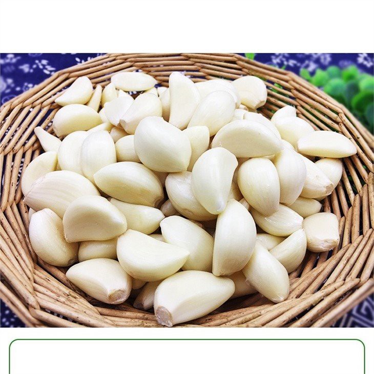 [Exp] Garlic - ثوم