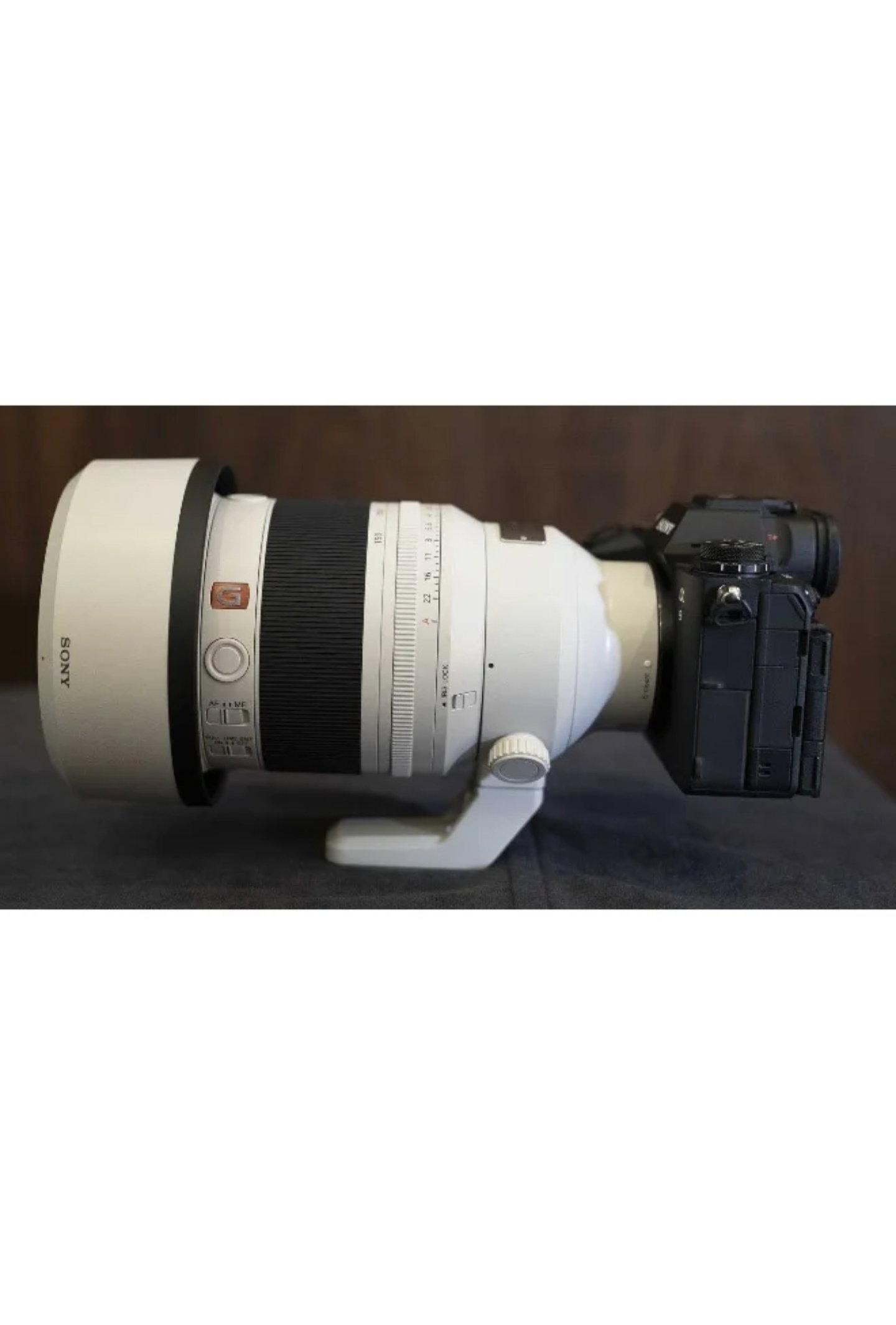 Sony FE 50-150mm F2.8 GM G Series Master Full Frame Zoom Lens_1