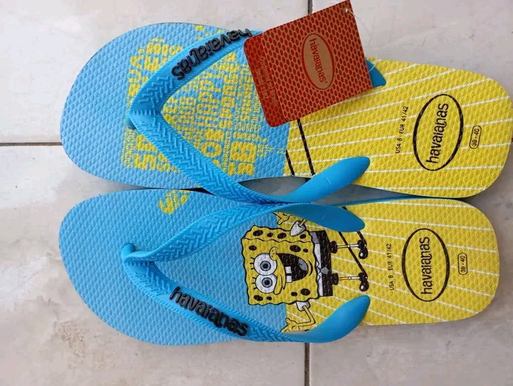 Chinelos Havaianas originais 