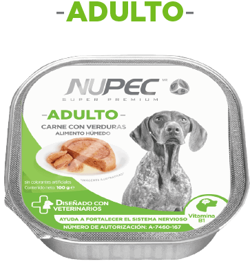 ALIMENTO HÚMEDO ADULTO 100G 