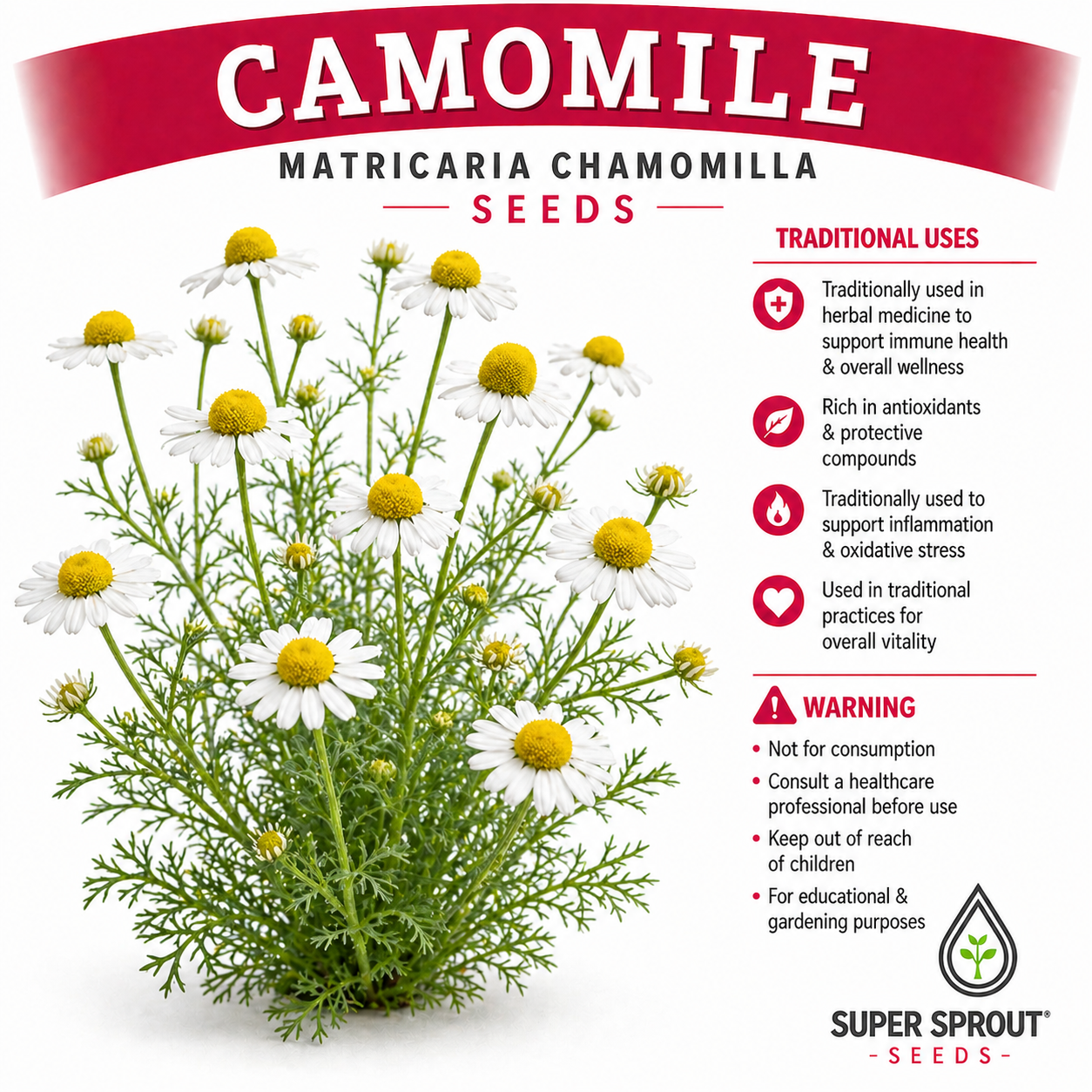Ultimate Medicinal herb collection seed pack x 9 packets _6