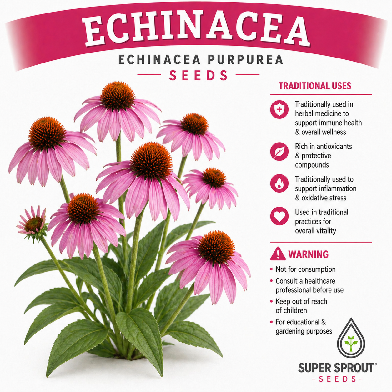 Ultimate Medicinal herb collection seed pack x 9 packets _4