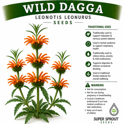 Ultimate Medicinal herb collection seed pack x 9 packets 