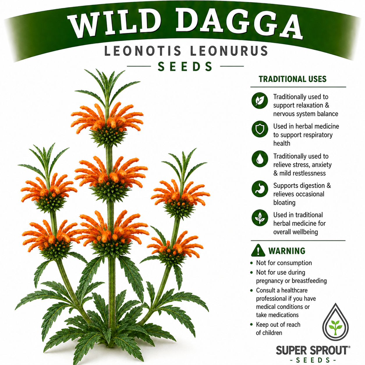 Ultimate Medicinal herb collection seed pack x 9 packets _9