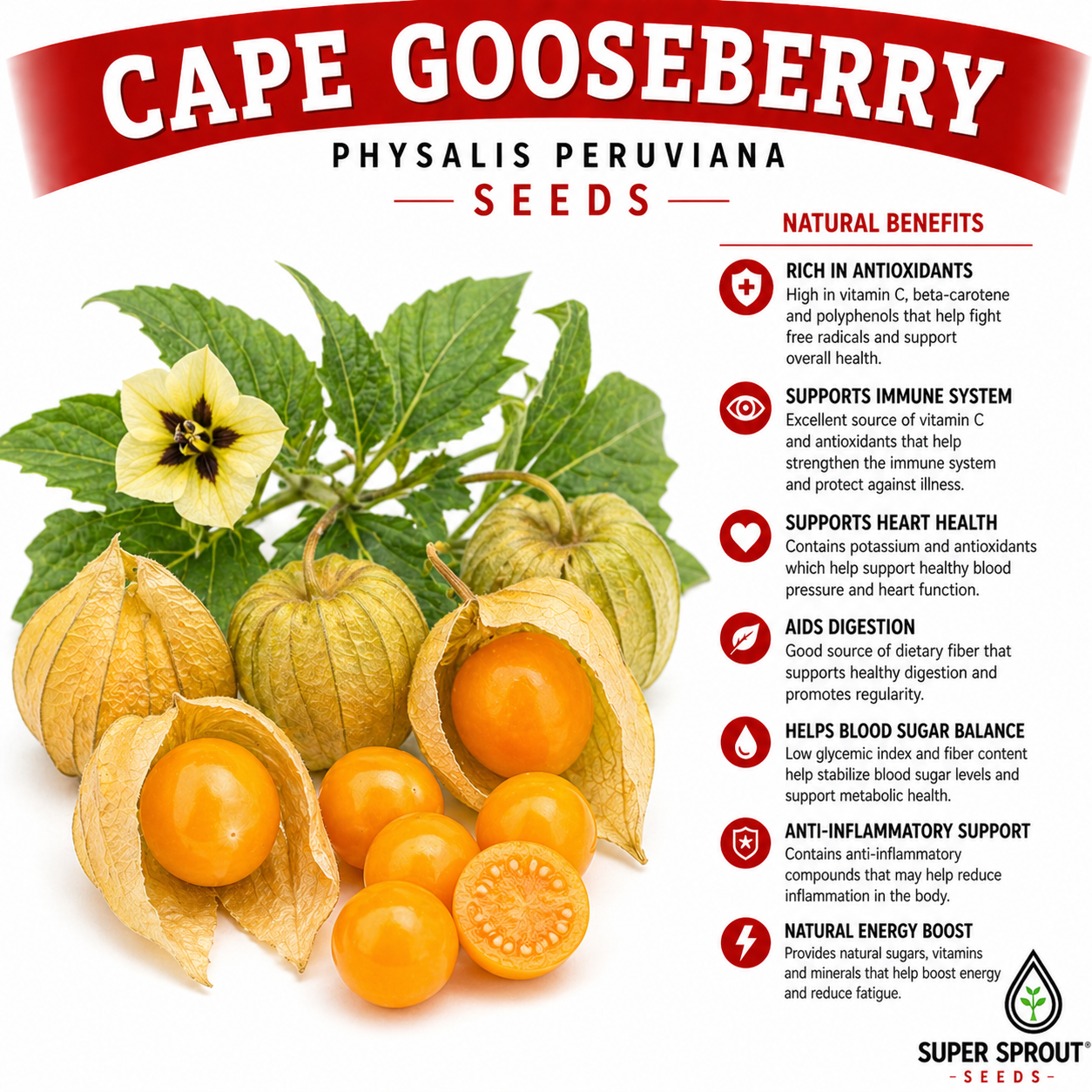 Cape Gooseberry x 25+ seeds_1