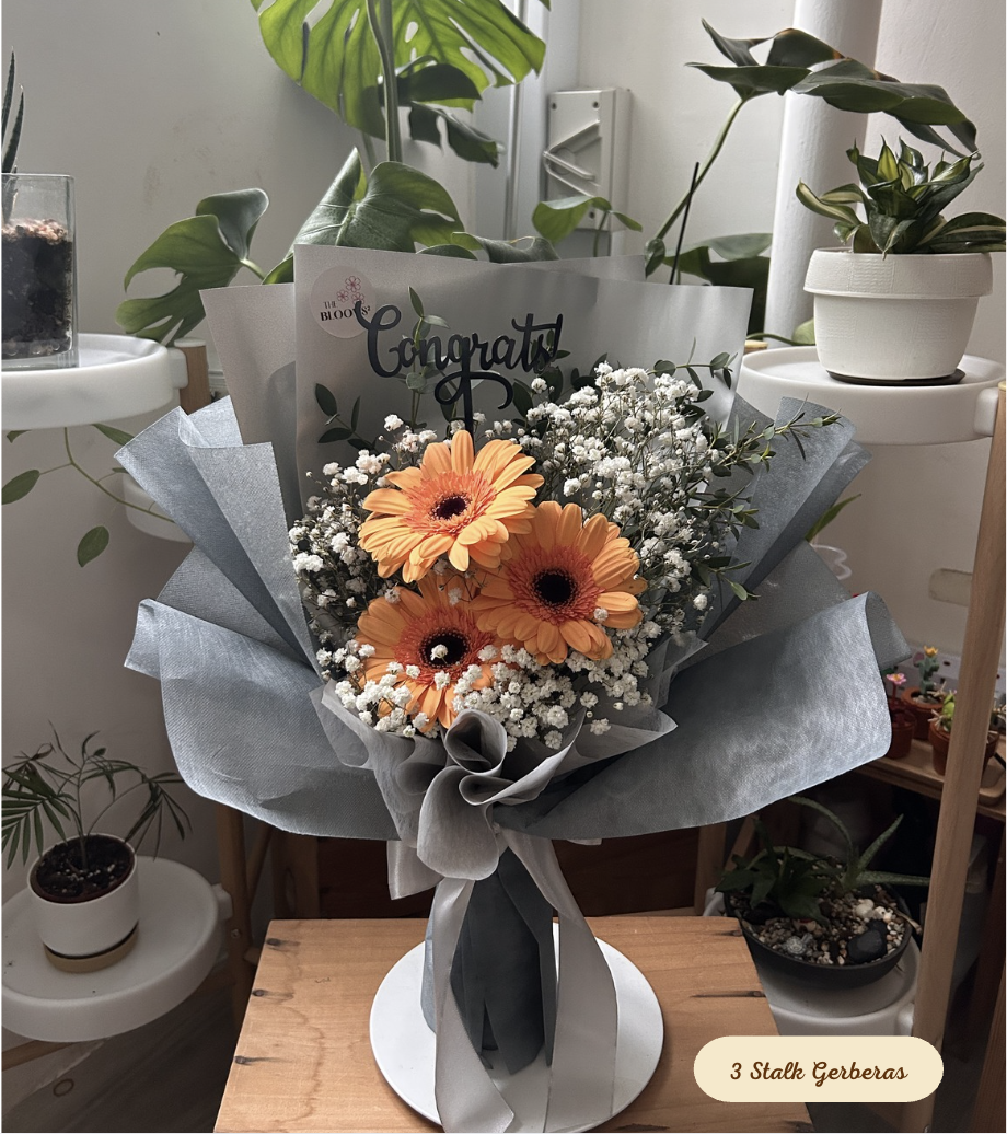 3 Stalk Gerberas Bouquet _0