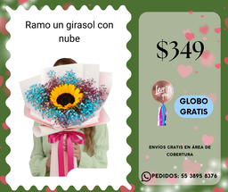 Ramo un girasol con nube