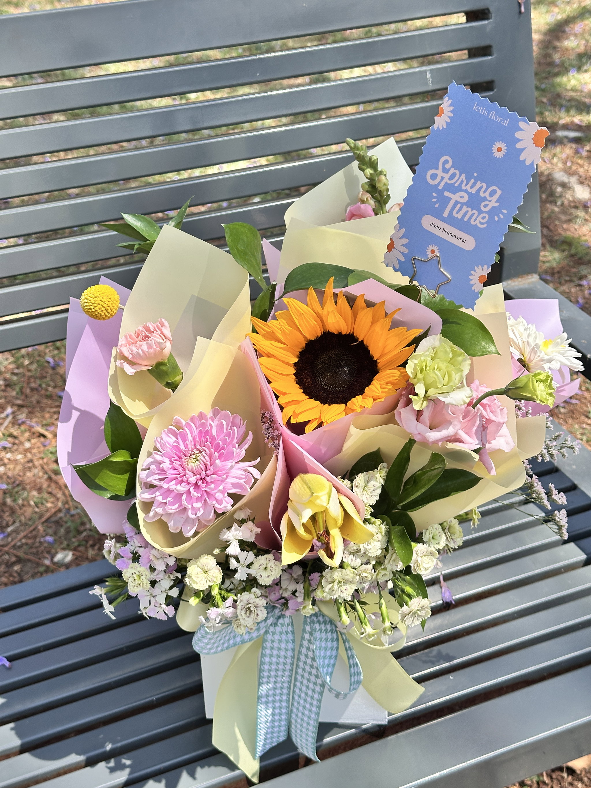spring box_0