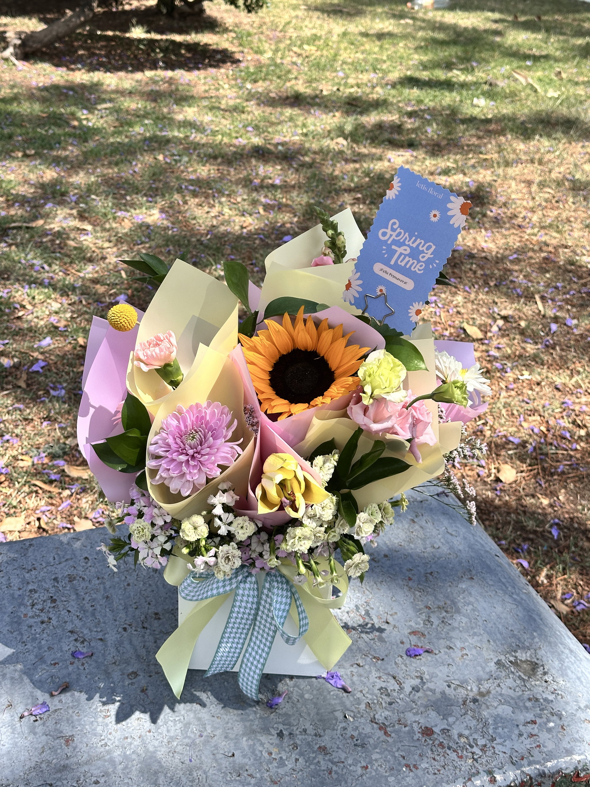 spring box_1