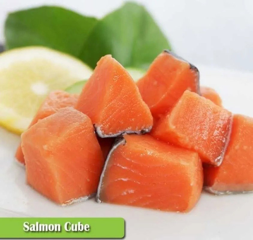 Fresh Salmon Cube