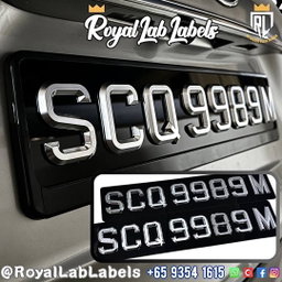 [3D Popout] 3D Silver Chrome Car Plates
