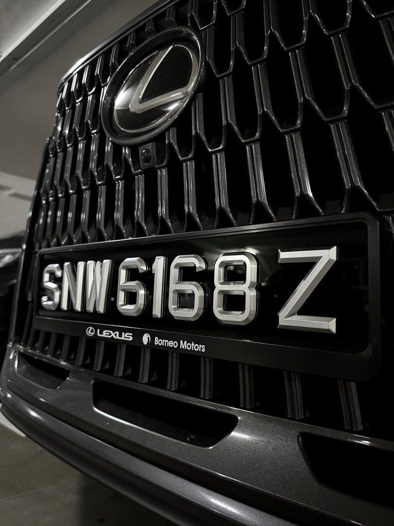 [3D Popout] 3D Silver Chrome Car Plates_4